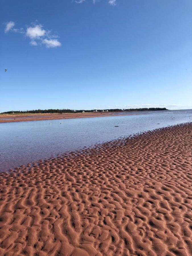 Newly Renovated Confederation Bridge View Cottages Borden-Carleton Eksteriør billede