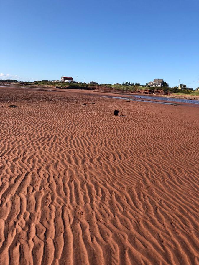 Newly Renovated Confederation Bridge View Cottages Borden-Carleton Eksteriør billede